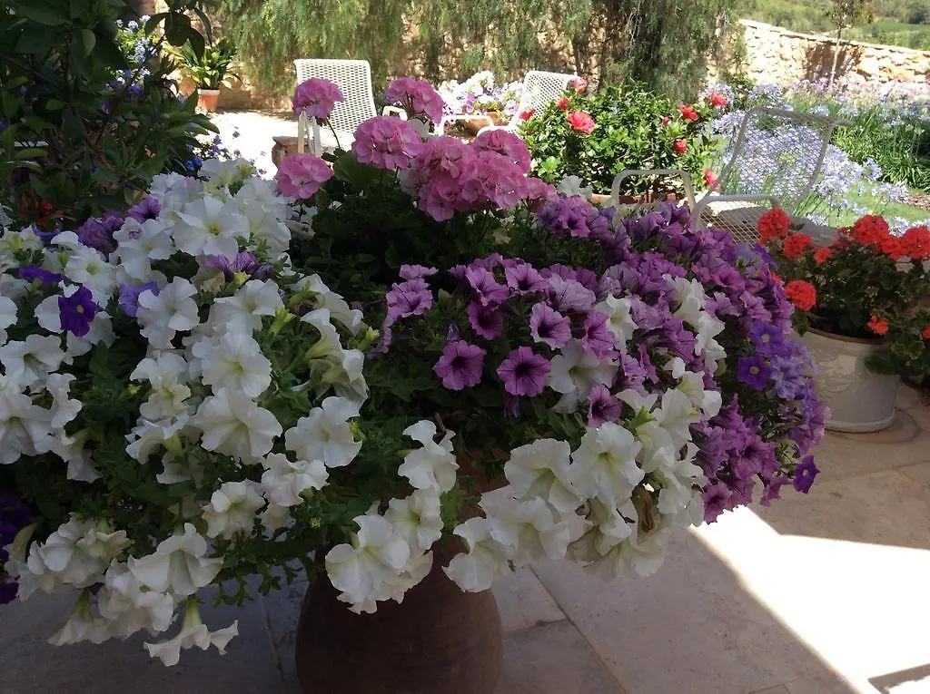 La Casa De Piedra Bed & Breakfast Viladellops